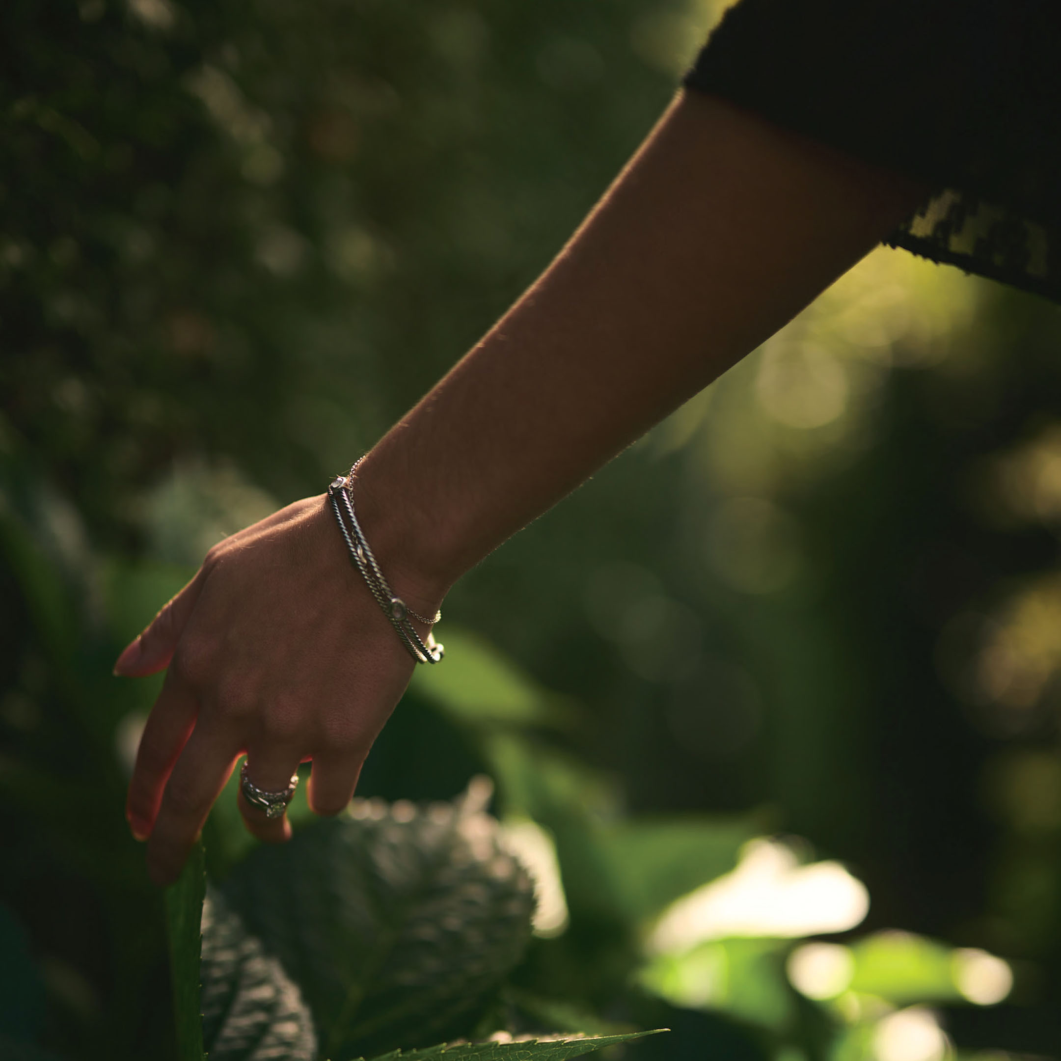 Bassano Brand Photography 4
