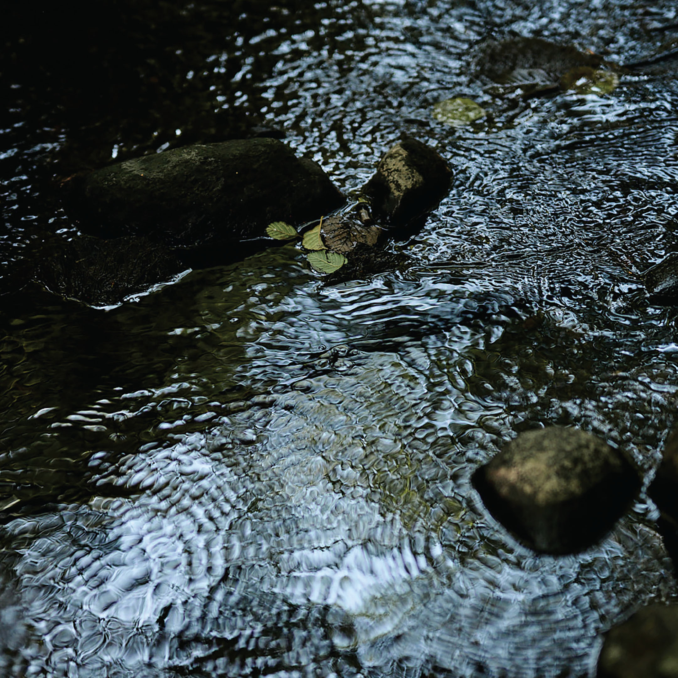Bassano Brand Photography 5